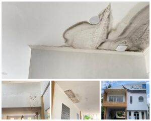 IMG-20241206-WA0009