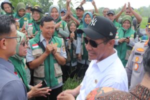 Pompanisasi Sukses Tingkatkan Produktivitas Padi di Magelang