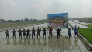IMG-20260831-WA0031